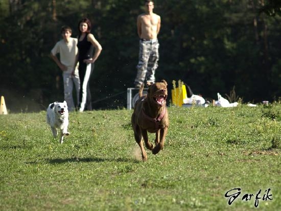 panská lícha 8.jpg