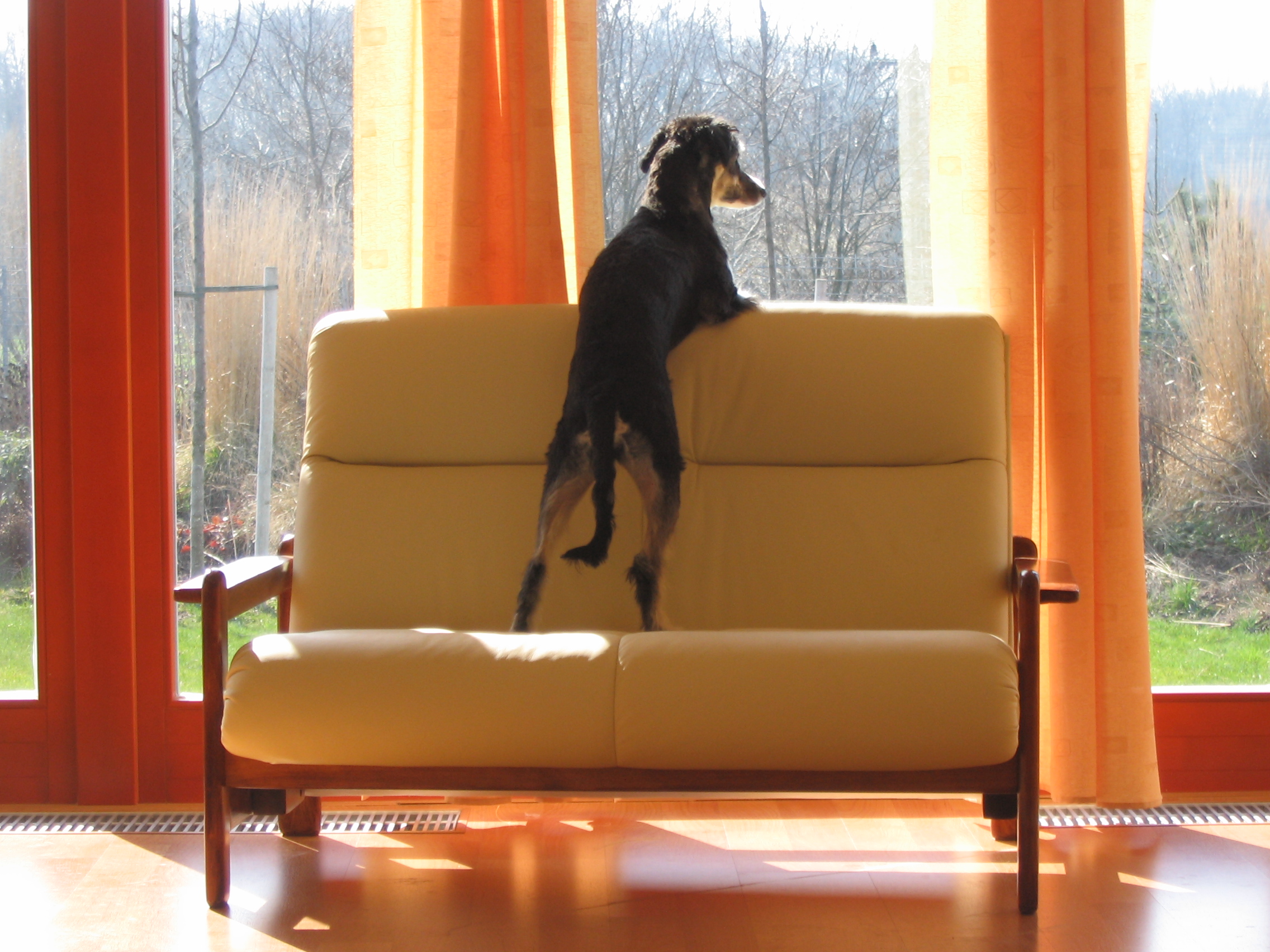 Snímek 077.jpg