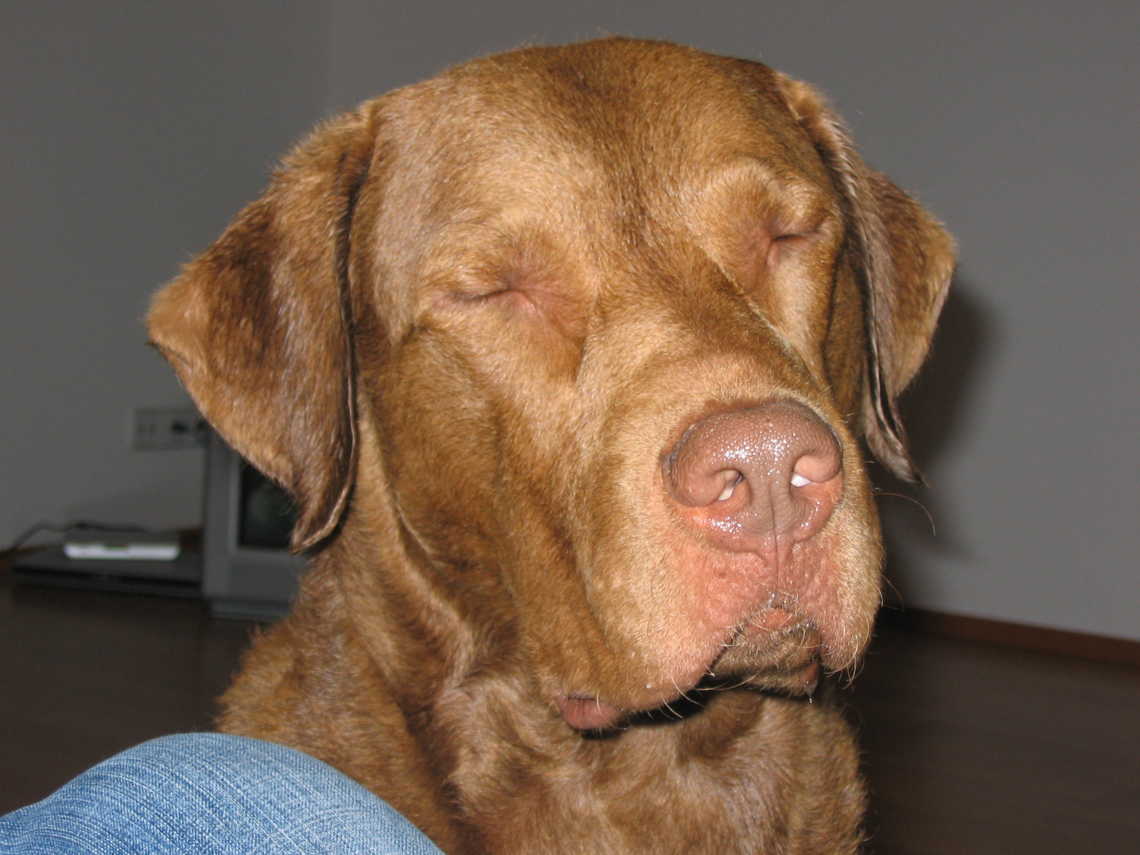 Snímek 003.jpg